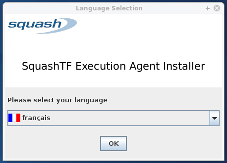 Installer greeter and installer language selection.